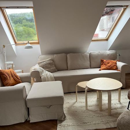 Apartament W Centrum - Nasze Poddasze Ustrzyki Dolne Luaran gambar