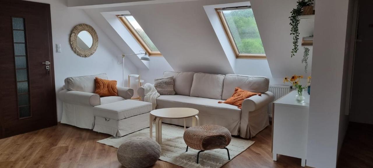 Apartament W Centrum - Nasze Poddasze Ustrzyki Dolne Luaran gambar